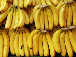 ������ͳ�ʲô�� ����͵�ע������