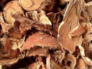 СѪ�ٵĹ�Ч������ СѪ�ٵĸ���