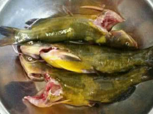 �����չ�_�����չǵĹ�Ч|�÷�����