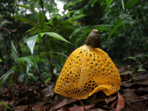 ��ȹ��ݥ_��ȹ��ݥ�Ĺ�Ч|�÷�����