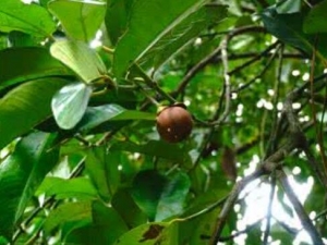 �＾��ʲô���� �＾�����ע������