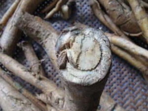 ˮ���ϸ��Ĺ�Ч������ ˮ���ϸ����÷�����