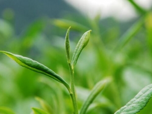 ���������ĺô� ���������ļ��𷽷�