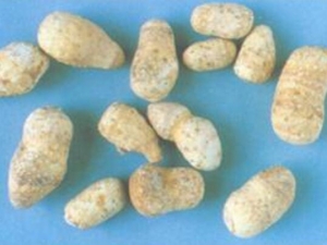 ɽ̫ƴ ɽ̫ƹЧ ɽ̫Ƹ