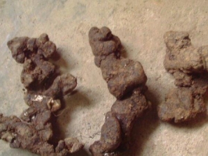 �޷���Ĺ�Ч������ �޷���ĸ�������