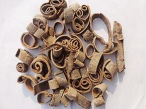 �������������� ������������Ч ������������������