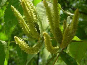 ��������_���������Ĺ�Ч|��������