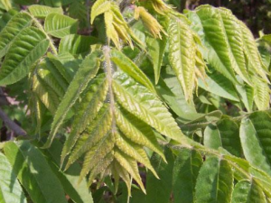 ������_�������Ĺ�Ч����|�÷�����