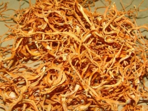 ��ݻ��Ĺ�Ч������ ��ݻ���ʳ�ý���