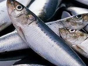 �����Ӫ����ֵ �����ʳ�÷���