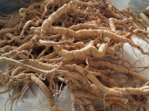 ��ꪼ��账�� ��ꪼ��蹦Ч ��ꪼ����������