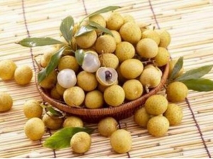 ������Ĺ�Ч�����ü�������