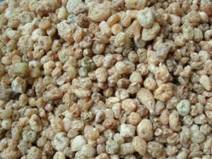 �����ӵĹ�Ч������ �����ӵĸ�������