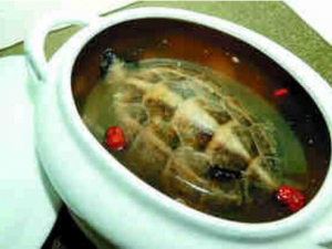 ְ��Ů�Ժ�ʲô������ ���ղ�Ѫ��ʲô��