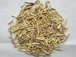 ����������ô�� ���������ʲô����