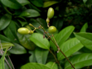 ��������_�������ٵĹ�Ч����|�÷�����