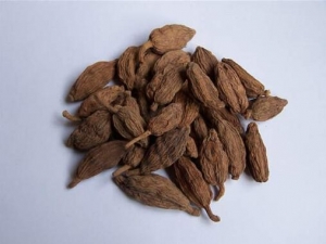 ��ɽ�߱������� ��ɽ�߱�����Ч ��ɽ�߱�����������