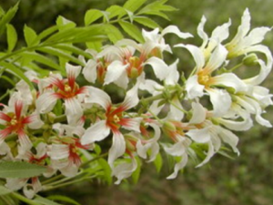 ������ҩ�ܶ���� �����ǽ���Ҫע����