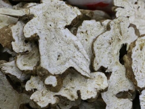 �������������� ������������Ч ������������������