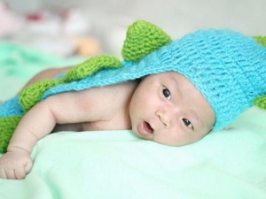 ����֧�����׵���ʳ�˼� ����֧�����׳�ʲô��