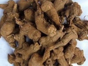 ʲô�ǽ��� ���ӿ����β���