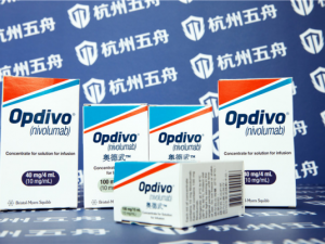 ����������PD1