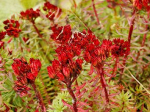 �Ͼ�������_�Ͼ������۵Ĺ�Ч|�÷�