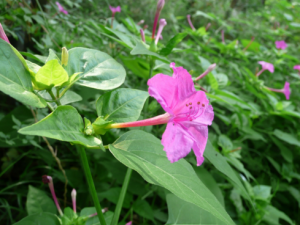 ������_��������÷�|��������