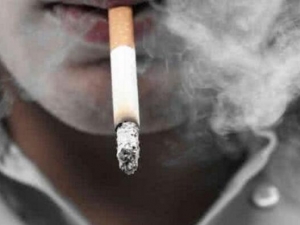 ���˳������̵�Σ�� ���˳������̳�ʲô��