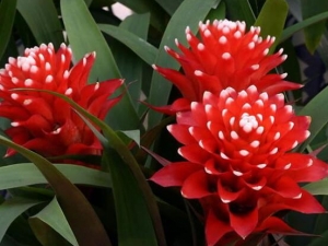 ˮ�����Ĺ�Ч������ ˮ����������