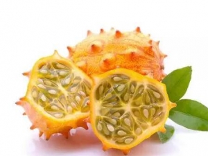 �̽ǹϵ�Ӫ����ֵ �̽ǹ����ܳ���