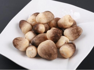 �ݹ���Ӫ����ֵ �ݹ���ʳ�÷���