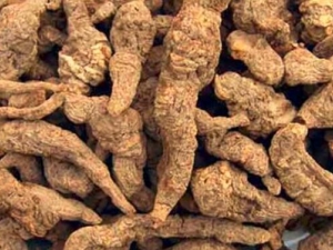 ѪǸߵԭ ѪǸ߳ʲôҩ ԤѪ