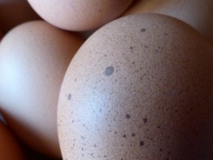 �����ǲ�����Ч�� �����ǲ��Ƶķ���