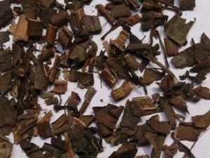 �׽ڷ�Ĺ�Ч������ С�����׽ڷ�ĸ���������Щ