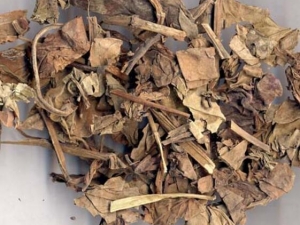 ���ײݵĹ�Ч������ ���ײ��ж���