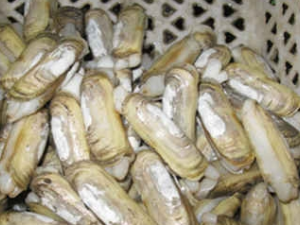 С���ʵ�ʳ�ô������� С���ʵĳԷ�