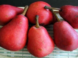 ��ơ���Ӫ����ֵ ��ơ���ѡ������