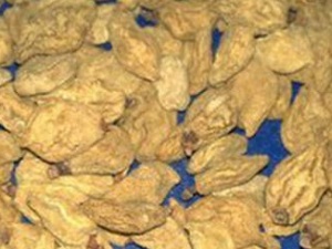 ���Ҹɵ�ҩ�ü�ֵ ���Ҹɵĸ�����