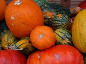 �����˶���ע������ ����Ӧ�ó�ƽ����ʳ���