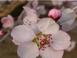 ɹűҵĹЧ ɹűҵĵ÷