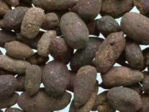 ����֬�Ĺ�Ч������ �и��ܳ�����֬��