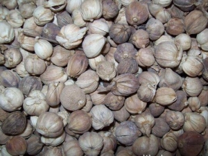 ��ޢ�Ĺ�Ч������ ��ޢ�ݲ��ж���