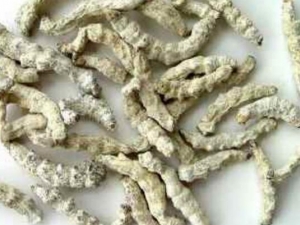 ���ϵĹ�Ч������ ���ϼ۸��Ƕ���