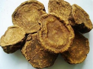 ��ʬ�����账�� ��ʬ�����蹦Ч ��ʬ�������������