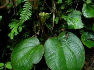 �����_����ݵĹ�Ч|��������