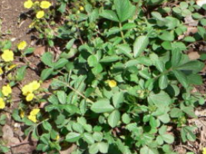 �����_������Ĺ�Ч����|�÷�����