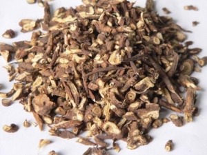 ���ݵĹ�Ч������ ���ݵ�ҩ�ü�ֵ