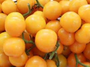 �����ӵ�Ӫ����ֵ ��������ô���� �����Ӳ��ܺ�ʲôһ���