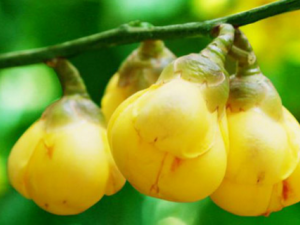 �𻨲軨_�𻨲軨��|�÷�����